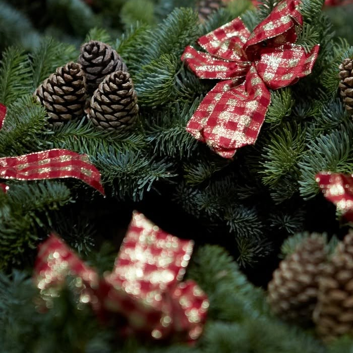 Tips For Choosing A Fresh Christmas Wreath