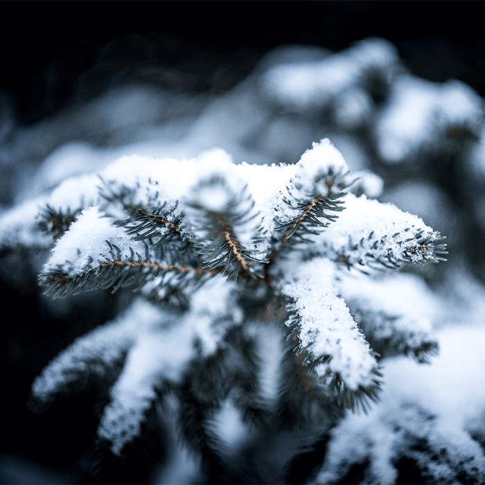 Christmas Wreath Troubleshooting