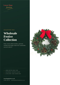 Lower Hope Festive Brochure 2026